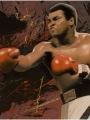 Muhammad Ali The Thrilla In Manila