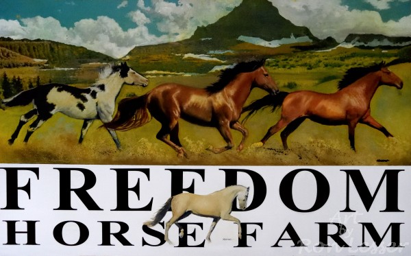 Freedom Horse Farm