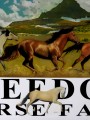Freedom Horse Farm