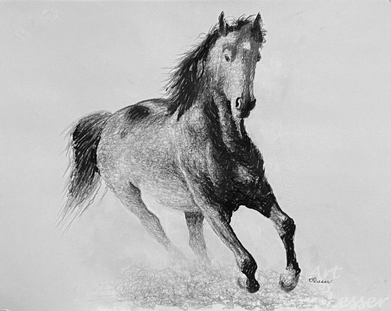 Horse  6 18 x 14 lf